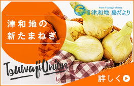 新玉ねぎの通販セットを見る